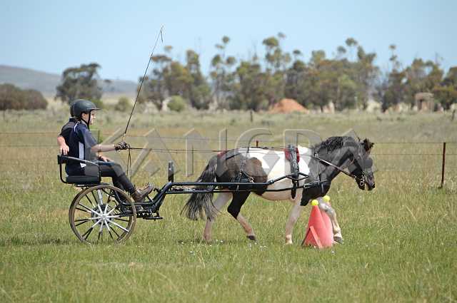 K210_1401.JPG - Photo by KANGRA