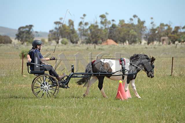 K210_1402.JPG - Photo by KANGRA