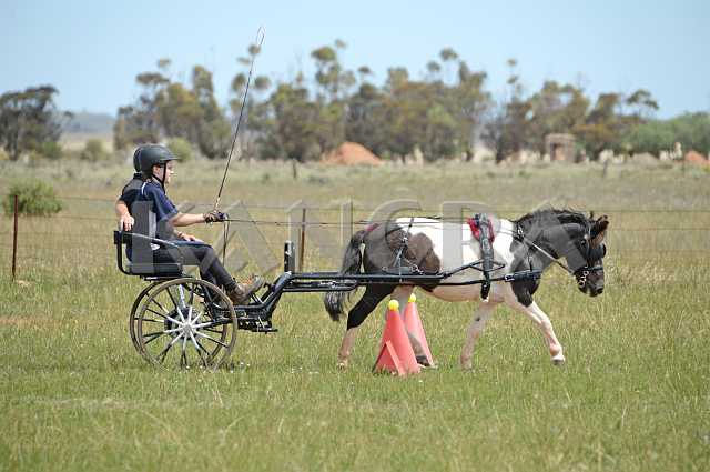 K210_1404.JPG - Photo by KANGRA