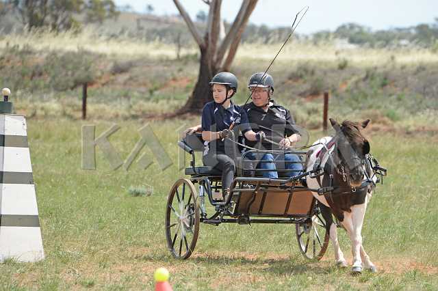 K210_1409.JPG - Photo by KANGRA