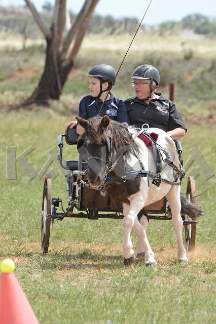 K210_1414.JPG - Photo by KANGRA