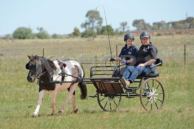 K210_1415.JPG - Photo by KANGRA