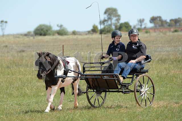 K210_1418.JPG - Photo by KANGRA