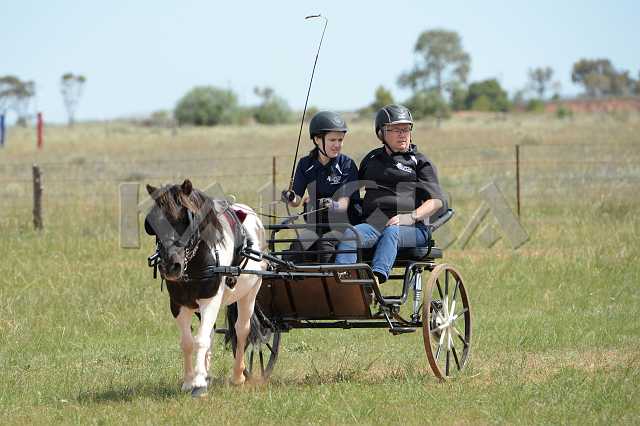 K210_1423.JPG - Photo by KANGRA