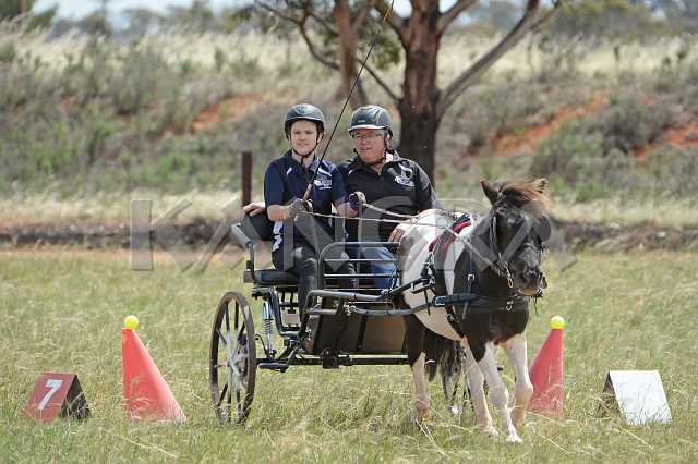 K210_1436.JPG - Photo by KANGRA