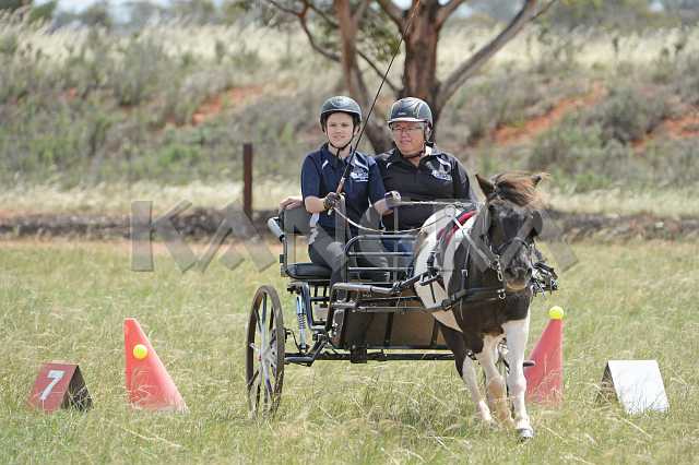 K210_1438.JPG - Photo by KANGRA