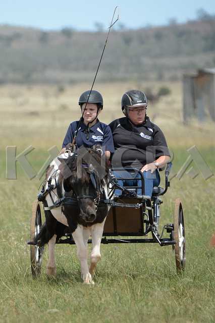 K210_1439.JPG - Photo by KANGRA