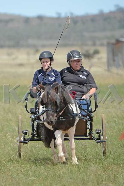 K210_1443.JPG - Photo by KANGRA