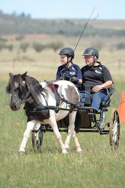 K210_1451.JPG - Photo by KANGRA