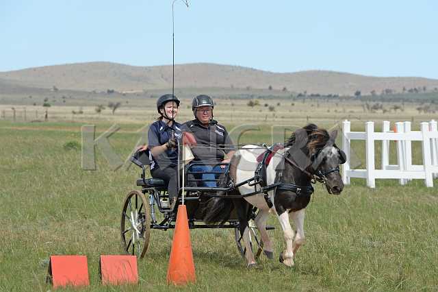 K210_1464.JPG - Photo by KANGRA