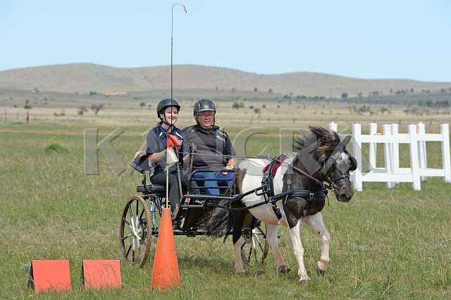 K210_1465.JPG - Photo by KANGRA