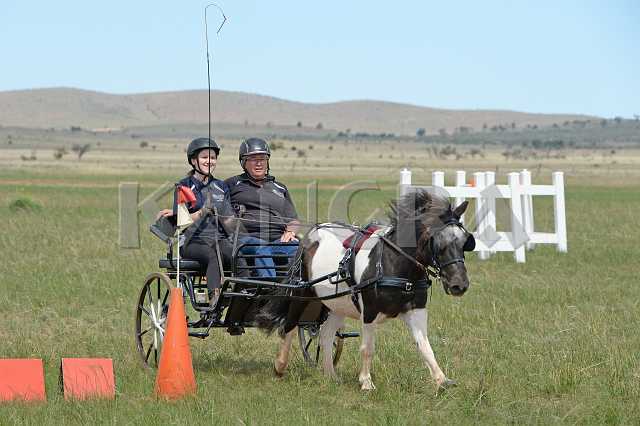 K210_1466.JPG - Photo by KANGRA