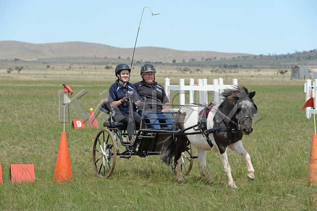 K210_1470.JPG - Photo by KANGRA