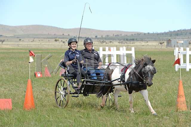 K210_1471.JPG - Photo by KANGRA