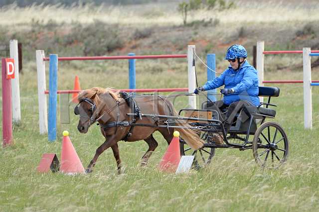 K210_0934.JPG - Photo by KANGRA