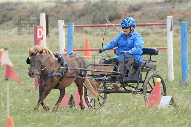 K210_0939.JPG - Photo by KANGRA