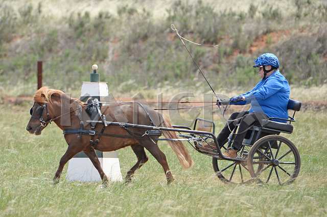 K210_0941.JPG - Photo by KANGRA