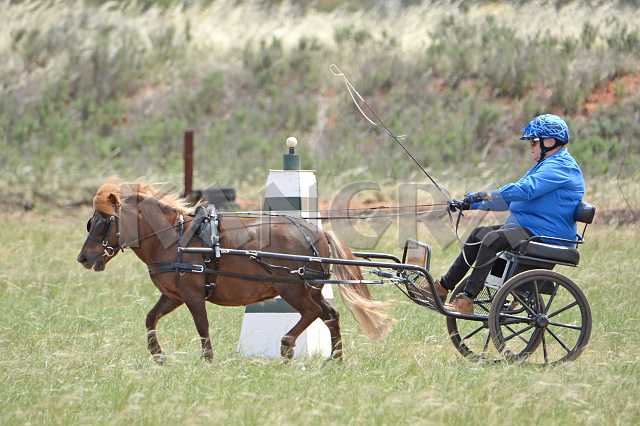 K210_0943.JPG - Photo by KANGRA