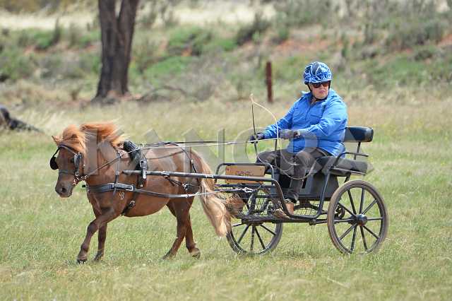 K210_0948.JPG - Photo by KANGRA