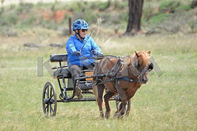 K210_0950.JPG - Photo by KANGRA