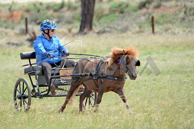 K210_0952.JPG - Photo by KANGRA