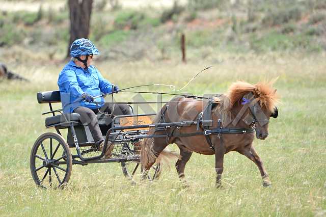 K210_0956.JPG - Photo by KANGRA