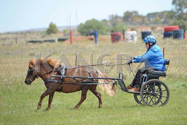 K210_0962.JPG - Photo by KANGRA