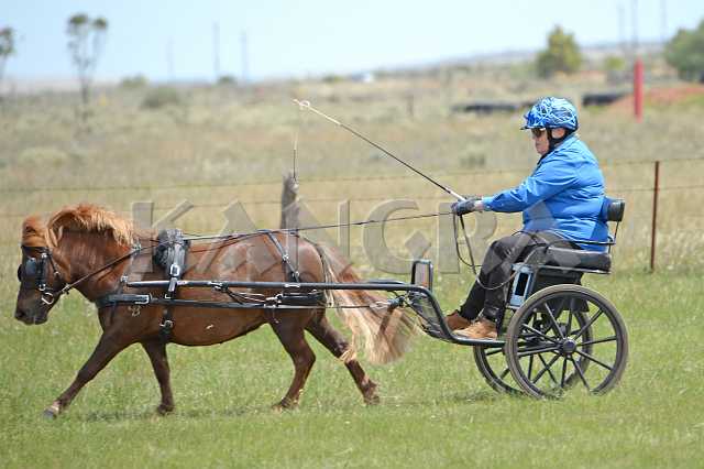 K210_0967.JPG - Photo by KANGRA