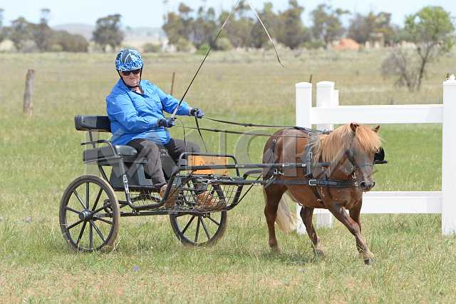 K210_0972.JPG - Photo by KANGRA