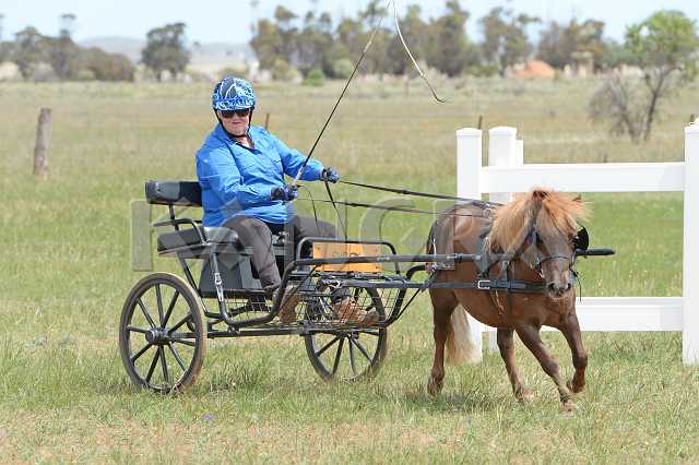 K210_0973.JPG - Photo by KANGRA