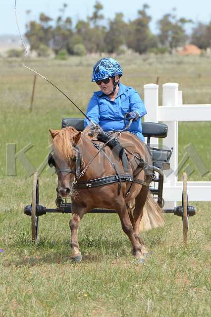 K210_0976.JPG - Photo by KANGRA