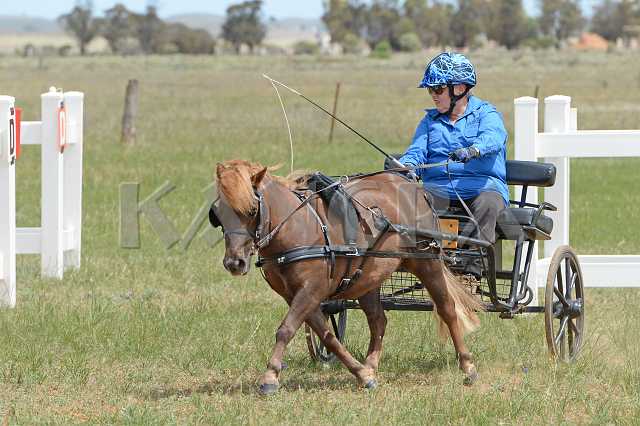 K210_0979.JPG - Photo by KANGRA