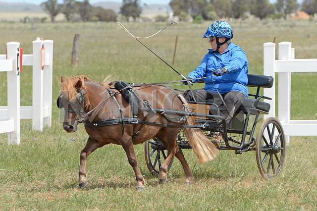 K210_0981.JPG - Photo by KANGRA