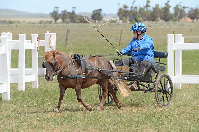 K210_0982.JPG - Photo by KANGRA