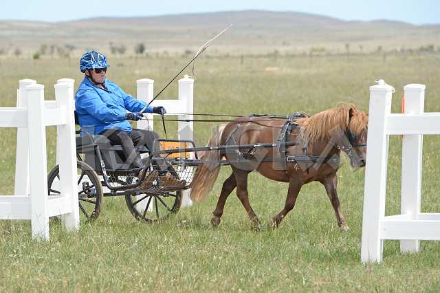 K210_0986.JPG - Photo by KANGRA