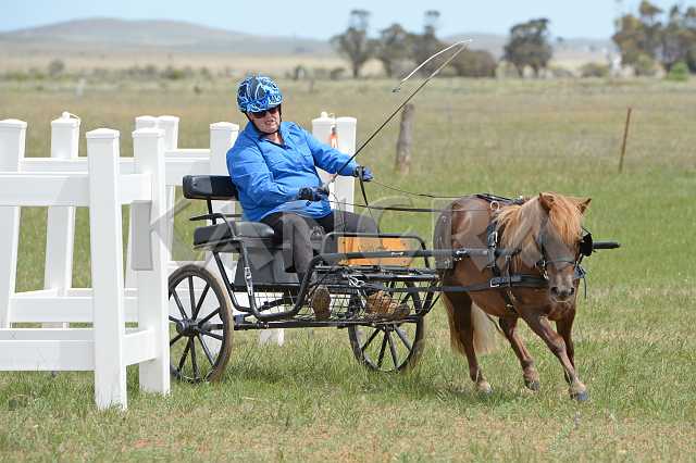 K210_0989.JPG - Photo by KANGRA