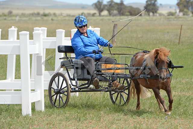 K210_0990.JPG - Photo by KANGRA