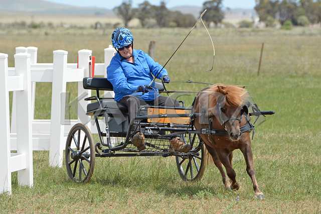 K210_0992.JPG - Photo by KANGRA