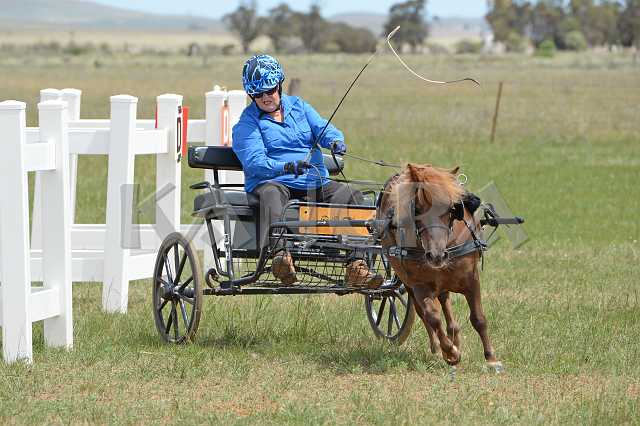 K210_0993.JPG - Photo by KANGRA