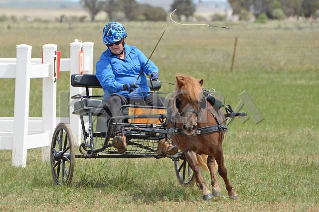 K210_0994.JPG - Photo by KANGRA