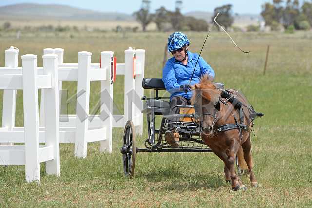 K210_0996.JPG - Photo by KANGRA