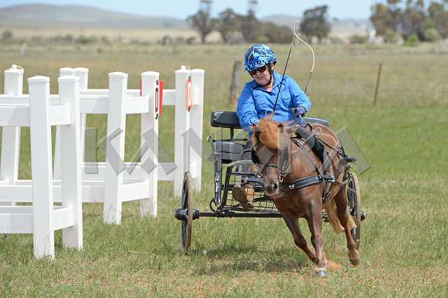 K210_0997.JPG - Photo by KANGRA