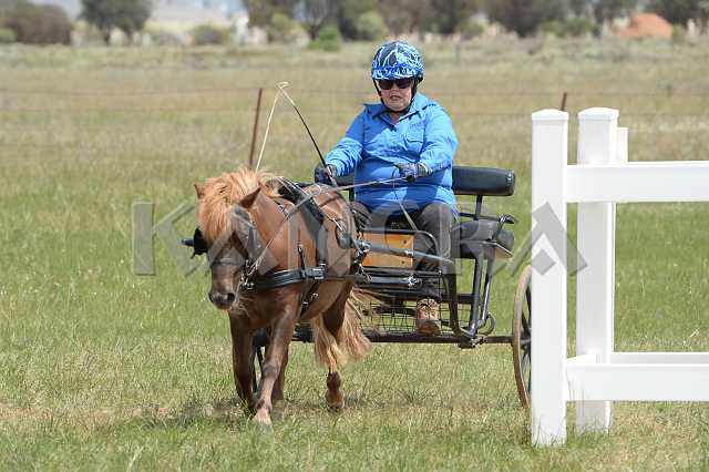 K210_0999.JPG - Photo by KANGRA