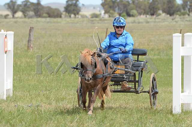 K210_1004.JPG - Photo by KANGRA