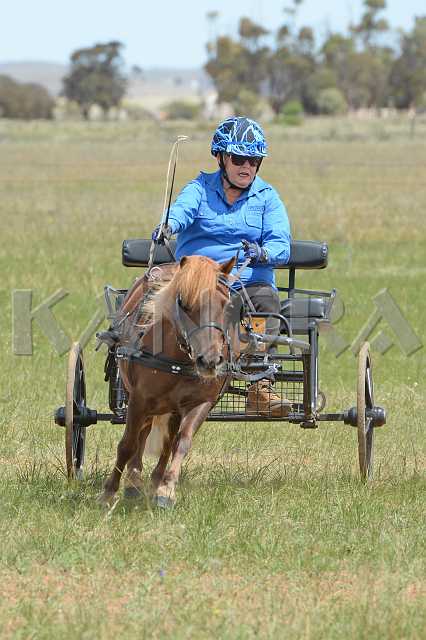 K210_1008.JPG - Photo by KANGRA