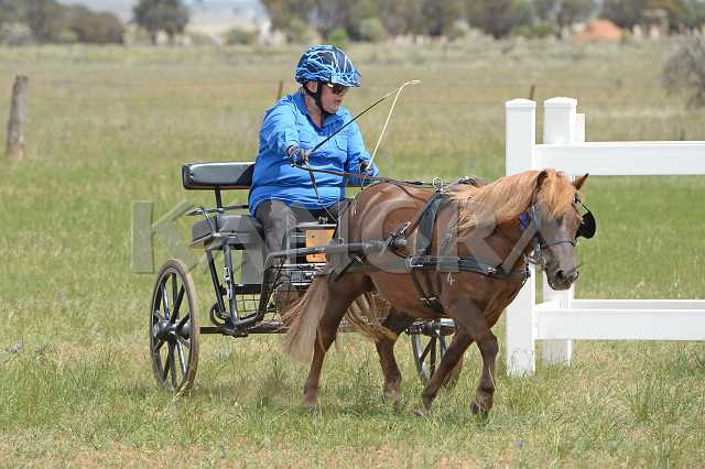 K210_1010.JPG - Photo by KANGRA