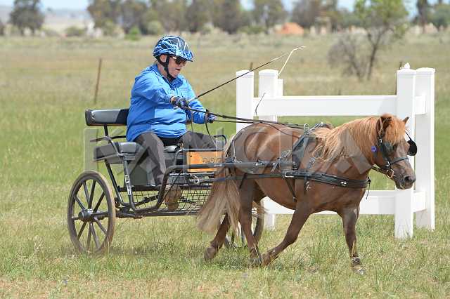 K210_1013.JPG - Photo by KANGRA