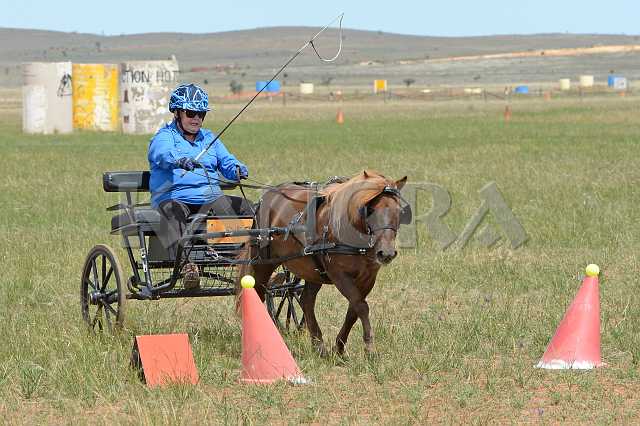 K210_1019.JPG - Photo by KANGRA