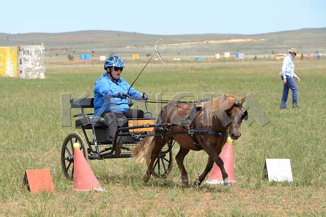 K210_1024.JPG - Photo by KANGRA