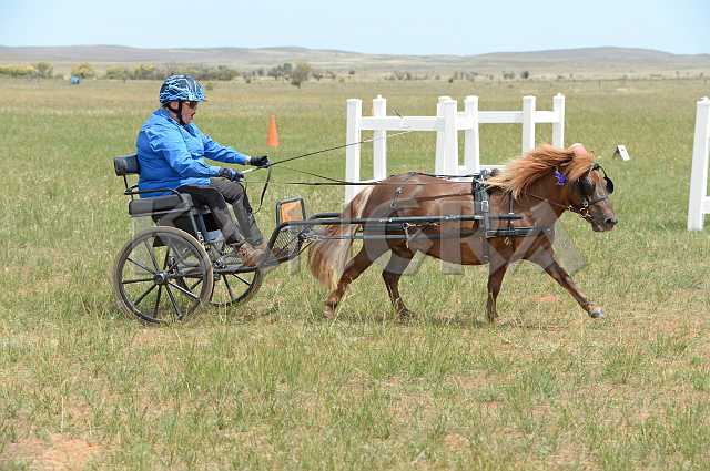 K210_1028.JPG - Photo by KANGRA